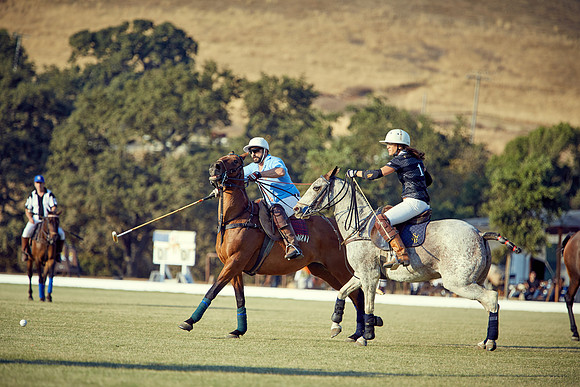 Oyster Cup Polo tournament