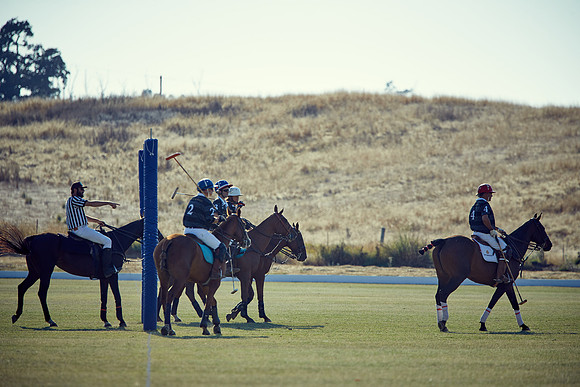 Oyster Cup Polo tournament