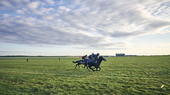 SUMMER GALLOPS-2nd-May-DJ-0398