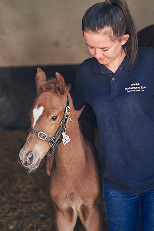 The-National-Stud-Dominic-James_DOM9785
