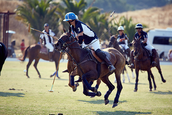 Oyster Cup Polo tournament