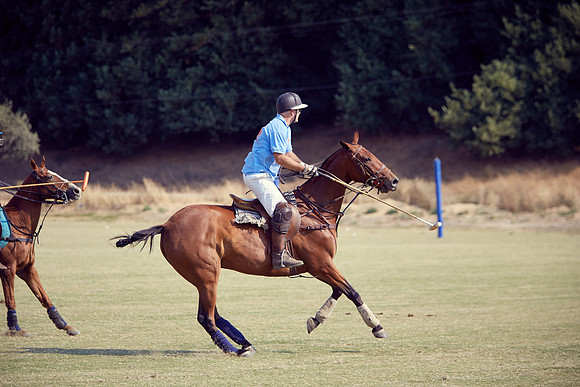 Oyster Cup Polo tournament