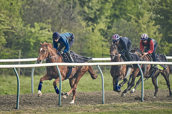 NEWMARKET-GALLOPS-24nd-APRIL-DJ-0546