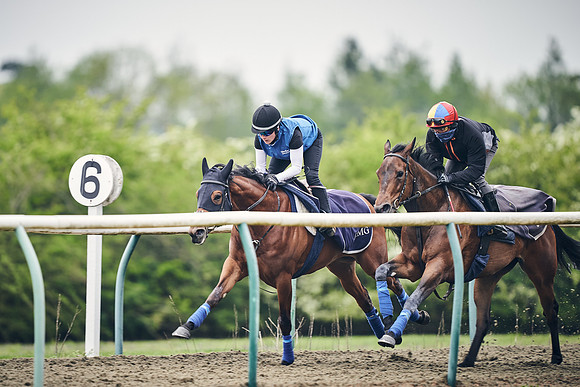NEWMARKET-GALLOPS-25th-APRIL-DJ-0022