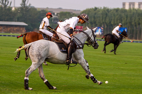 Royal Salute Gold Cup 2012 China Polo Open Tournament