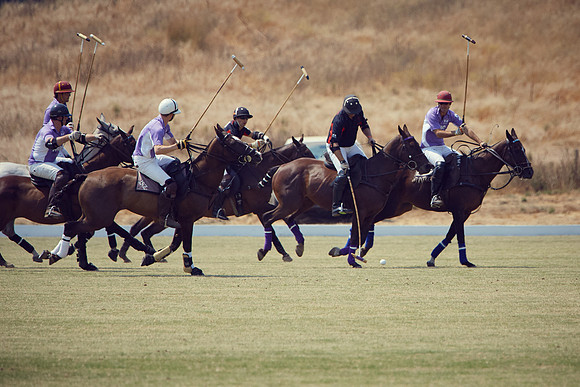 Oyster Cup Polo tournament