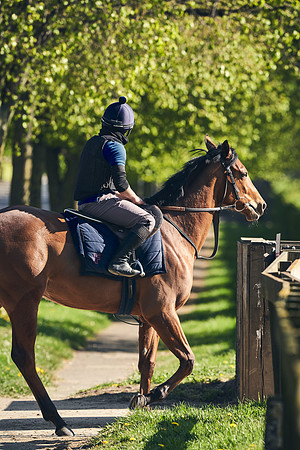 NEWMARKET-GALLOPS-22nd-APRIL-DJ-3842