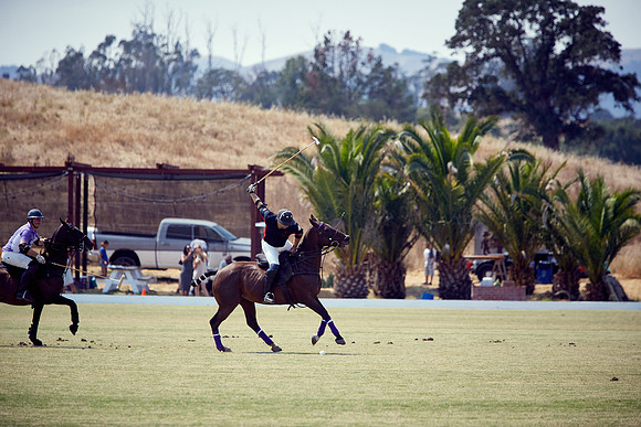 Oyster Cup Polo tournament