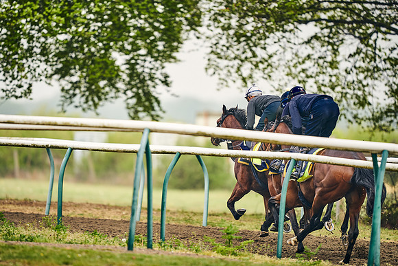 NEWMARKET-GALLOPS-24nd-APRIL-DJ-0474