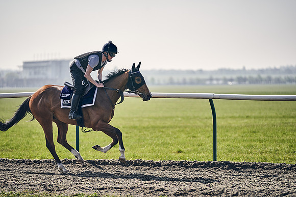 GEORGE-BOUGHEY-RACING-DJ-3369