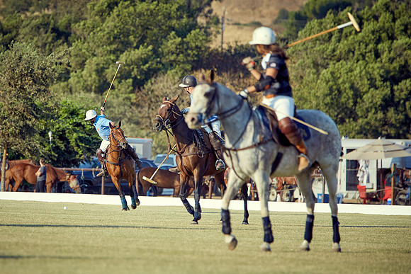 Oyster Cup Polo tournament