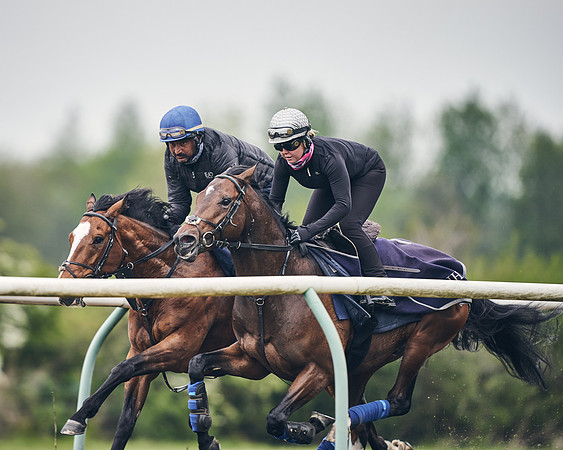 NEWMARKET-GALLOPS-25th-APRIL-DJ-0131