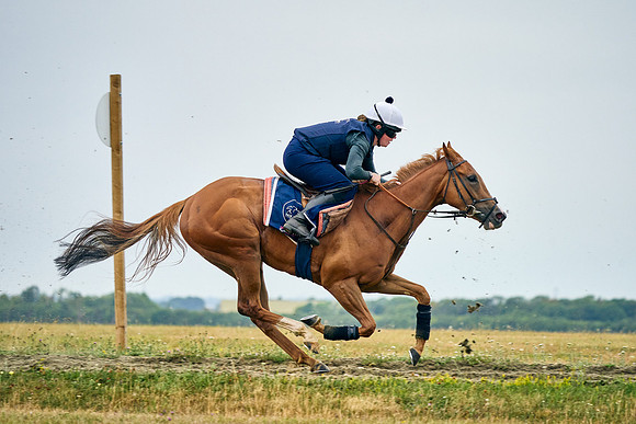 2022-07-23-DominicJames-1320