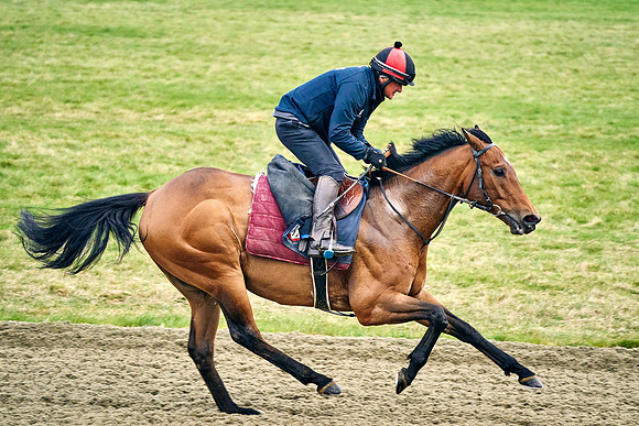 2022-03-09-Dominic-James-1014