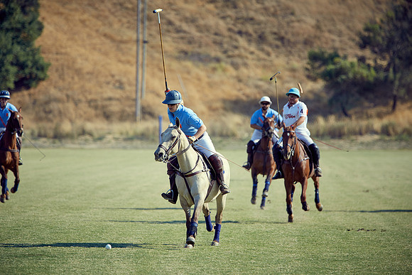 Oyster Cup Polo tournament