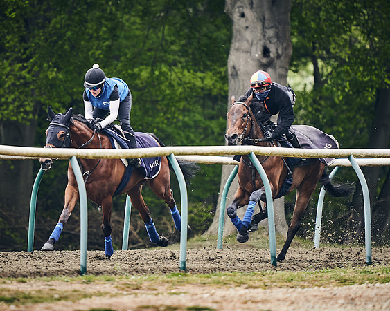 NEWMARKET-GALLOPS-25th-APRIL-DJ-0010