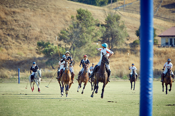 Oyster Cup Polo tournament