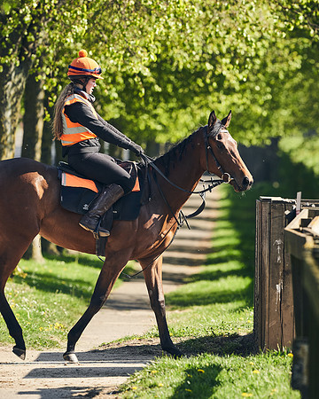 NEWMARKET-GALLOPS-22nd-APRIL-DJ-4126