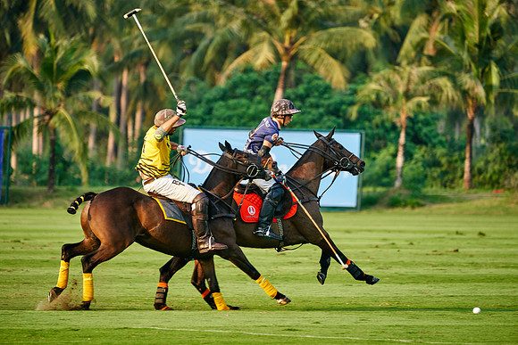 THAI-POLO-OPEN-2019_DJ_0954
