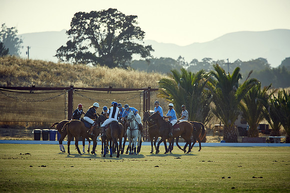 Oyster Cup Polo tournament