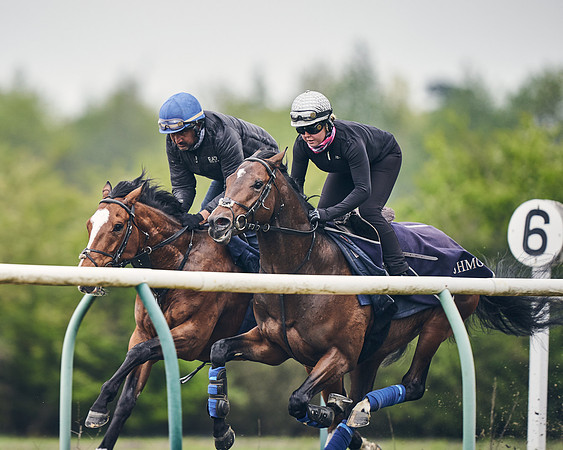 NEWMARKET-GALLOPS-25th-APRIL-DJ-0126
