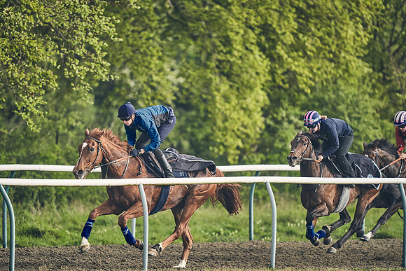 NEWMARKET-GALLOPS-24nd-APRIL-DJ-0562