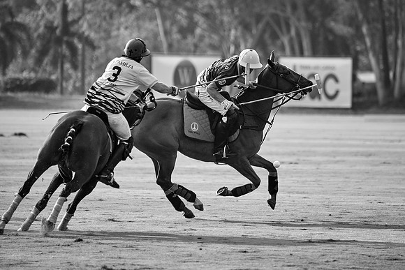 THAI-POLO-OPEN-2019_DJ_0978