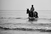_DSC1565.ARW