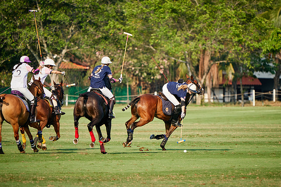 THAI-PINK-POLO-2019_DJ_4988