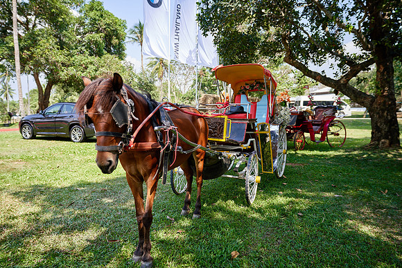 THAI-PINK-POLO-2019-FINALS_DOM1157