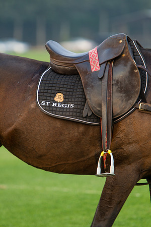 Royal Salute Gold Cup 2012 China Polo Open Tournament
