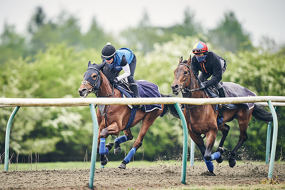 NEWMARKET-GALLOPS-25th-APRIL-DJ-0021