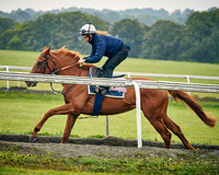 002E Roger Varian