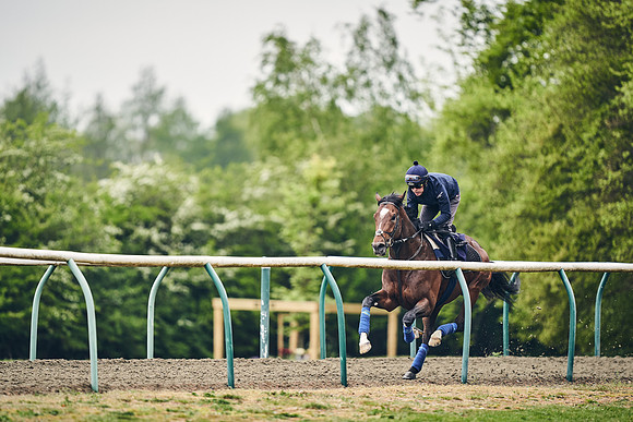 NEWMARKET-GALLOPS-25th-APRIL-DJ-0055