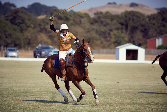 Oyster Cup Polo tournament