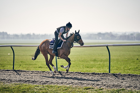 GEORGE-BOUGHEY-RACING-DJ-3363
