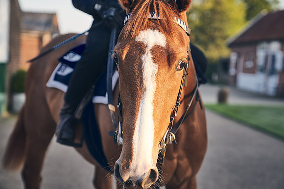 GEORGE-BOUGHEY-RACING-DJ-0444