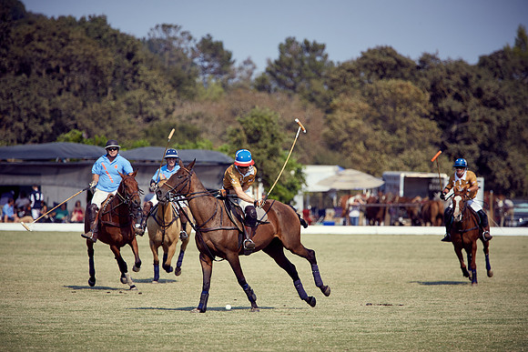 Oyster Cup Polo tournament