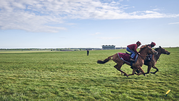 SUMMER GALLOPS-2nd-May-DJ-1787