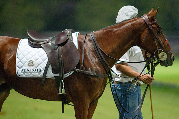 Polo Match at Ghantoot Polo Club - St. Regis vs ADCB for the Pink Polo Day charity