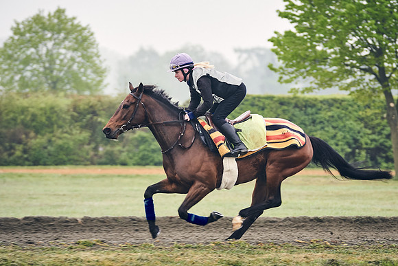 NEWMARKET-GALLOPS-24nd-APRIL-DJ-0188