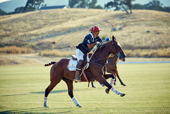 Oyster Cup Polo tournament