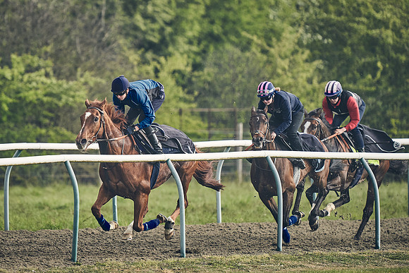 NEWMARKET-GALLOPS-24nd-APRIL-DJ-0545