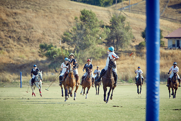 Oyster Cup Polo tournament