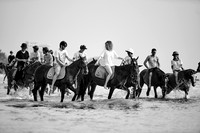 _DSC1502.ARW