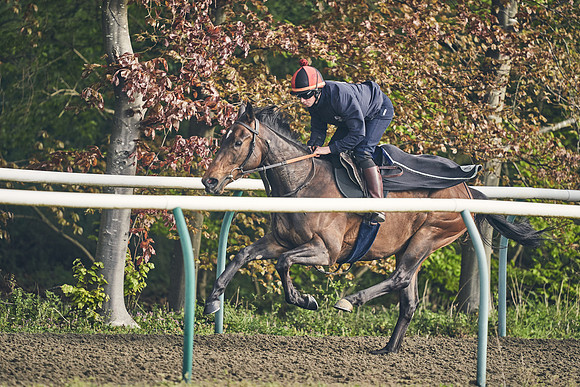 NEWMARKET-GALLOPS-24nd-APRIL-DJ-0579
