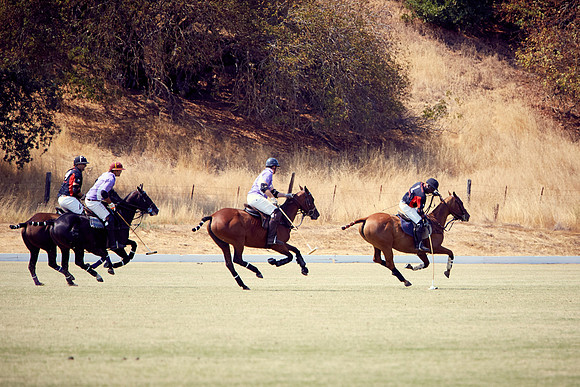 Oyster Cup Polo tournament
