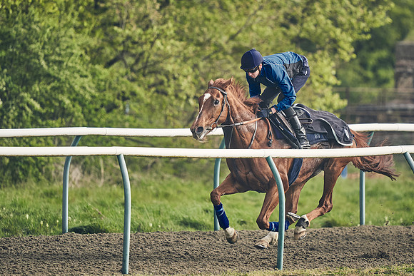 NEWMARKET-GALLOPS-24nd-APRIL-DJ-0556