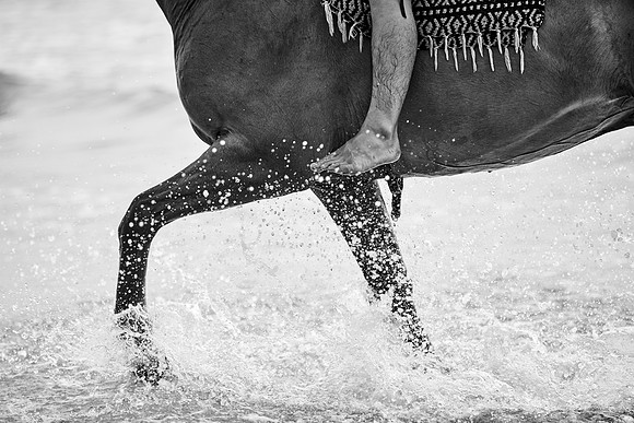 _DSC2847.ARW
