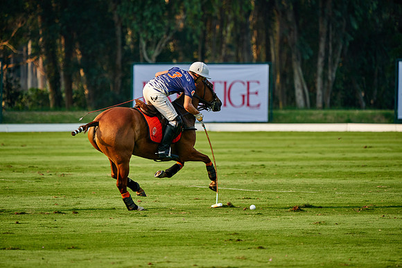 THAI-POLO-OPEN-2019_DJ_1004